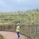 成都旅游 缩略图 10