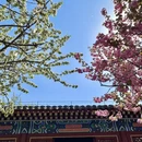 石家庄旅游 缩略图 2