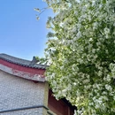 石家庄旅游 缩略图 4