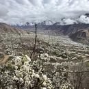 阿坝旅游 缩略图 12