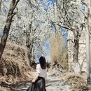甘孜旅游 缩略图 1