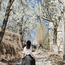 甘孜旅游 缩略图 2