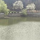 大理州旅游 缩略图 8