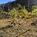 金昌旅游 缩略图 5