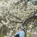 阿坝旅游 缩略图 6