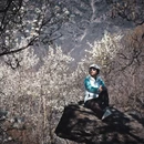 阿坝旅游 缩略图 8