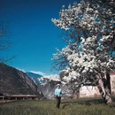 阿坝旅游 缩略图 9