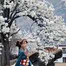 阿坝旅游 缩略图 8