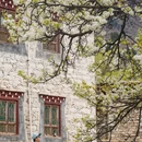 阿坝旅游 缩略图 12