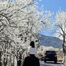 甘孜旅游 缩略图 3