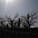 晋中旅游 缩略图 13