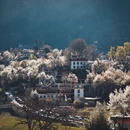 阿坝旅游 缩略图 1