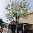 阿坝旅游 缩略图 2