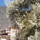 阿坝旅游 缩略图 3