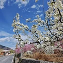 阿坝旅游 缩略图 4
