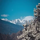 阿坝旅游 缩略图 5