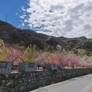 阿坝旅游 缩略图 5
