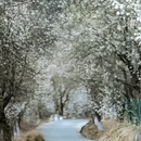 阿坝旅游 缩略图 2