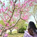 石家庄旅游 缩略图 4