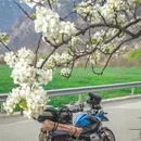 阿坝旅游 缩略图 6