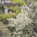 阿坝旅游 缩略图 14