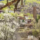 阿坝旅游 缩略图 15