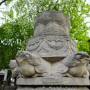 石家庄旅游 缩略图 7
