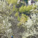 阿坝旅游 缩略图 16