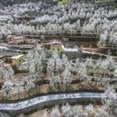 阿坝旅游 缩略图 2