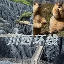 成都旅游 缩略图 10