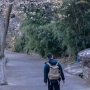 阿坝旅游 缩略图 8