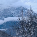 阿坝旅游 缩略图 9