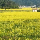 淮安旅游 缩略图 7