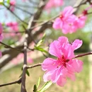 石家庄旅游 缩略图 14