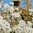 北京旅游 缩略图 7