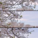 淮安旅游 缩略图 9