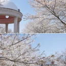 淮安旅游 缩略图 8
