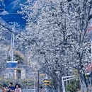 阿坝旅游 缩略图 12