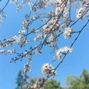 淮安旅游 缩略图 10