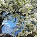 阿坝旅游 缩略图 6
