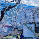 阿坝旅游 缩略图 13