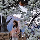 阿坝旅游 缩略图 1