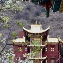 阿坝旅游 缩略图 4