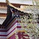 阿坝旅游 缩略图 5