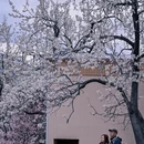 阿坝旅游 缩略图 2