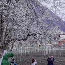 阿坝旅游 缩略图 3