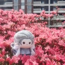 淮安旅游 缩略图 3