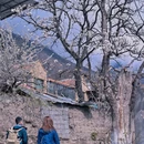 阿坝旅游 缩略图 7