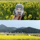 淮安旅游 缩略图 5