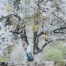 阿坝旅游 缩略图 3
